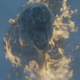 WHO’S THE TOUGH GUY NOW, THE REVENANT?
